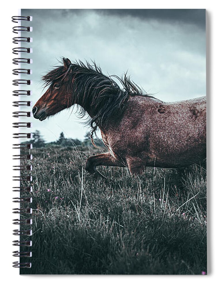 Photographs Spiral Notebook featuring the photograph On the run - Horse Art by Lisa Saint