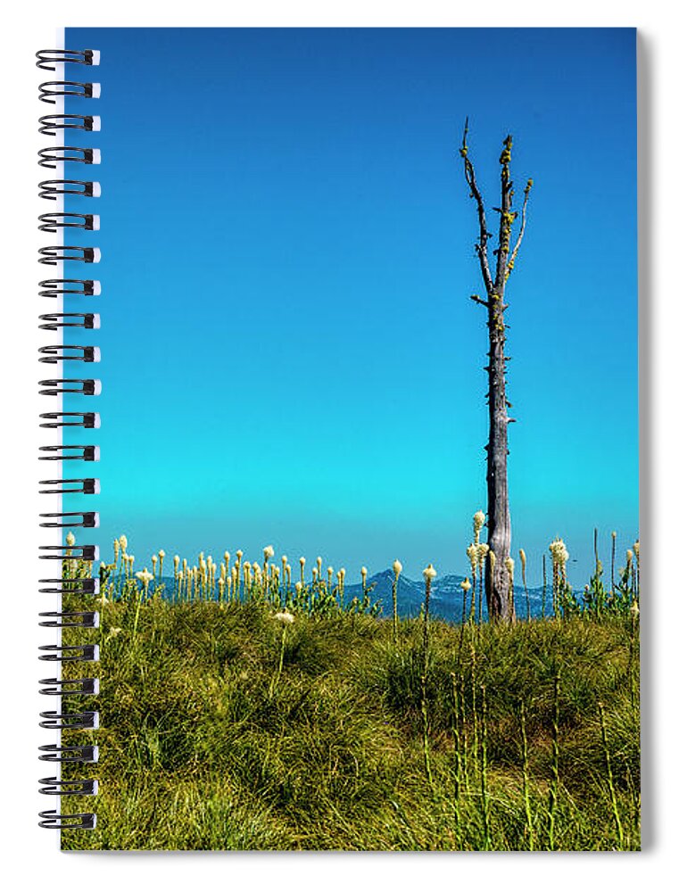 Bare Spiral Notebook featuring the photograph On Top Of The Mountain by Pamela Dunn-Parrish