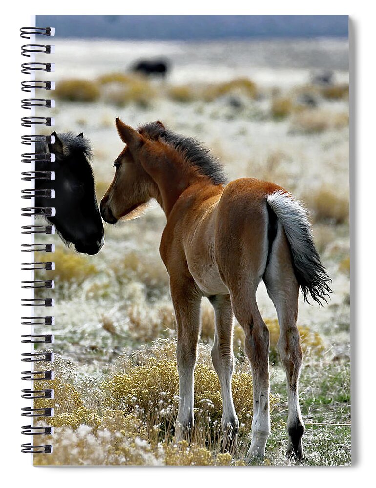 Utah Spiral Notebook featuring the photograph Onaqui Butt by Jennifer Robin