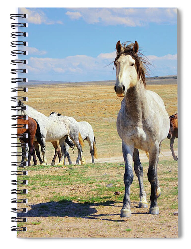 Onaqui Spiral Notebook featuring the photograph Onaqui Lookout by Greg Norrell