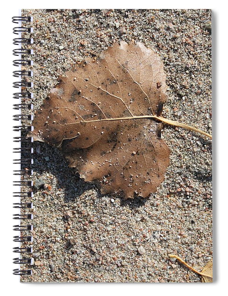 Leaf Spiral Notebook featuring the photograph One Aspen Leaf by Ruth Kamenev
