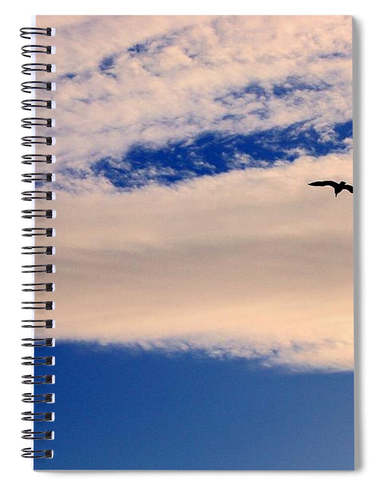 Pink Spiral Notebook featuring the photograph One Bird by Kimberly Furey