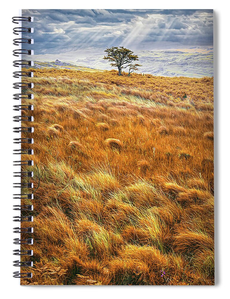 Clouds Spiral Notebook featuring the photograph One Tree in the Autumn Irish Mist by Debra and Dave Vanderlaan