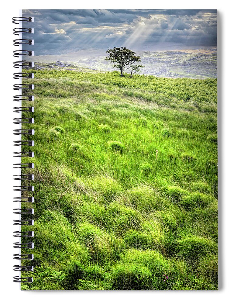 Clouds Spiral Notebook featuring the photograph One Tree in the Irish Mist by Debra and Dave Vanderlaan