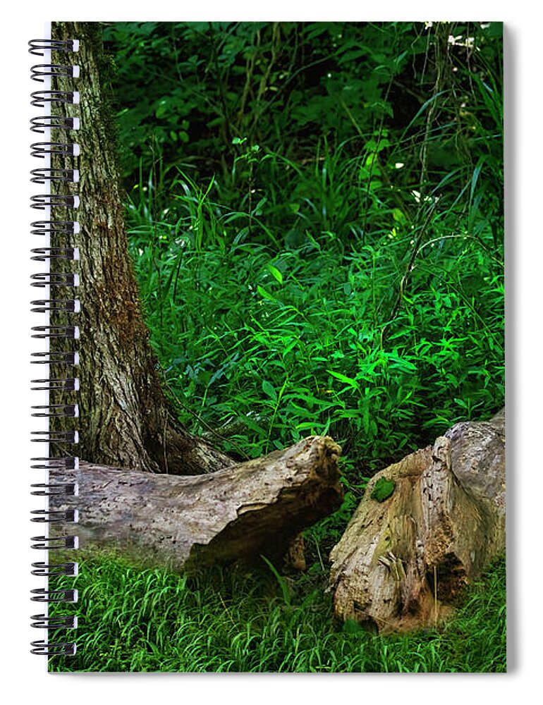 Log; Tree; Grass; Weed; Forest; Dense; Tennessee; Northeast Tennessee; Green Spiral Notebook featuring the photograph Oneness in Nature by Shelia Hunt