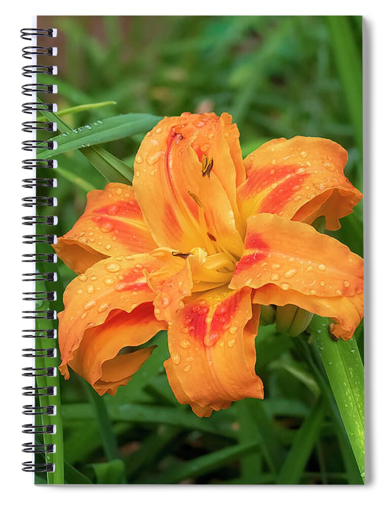 Orange And Red Daylily Spiral Notebook featuring the photograph Orange And Red Daylily by Bellesouth Studio