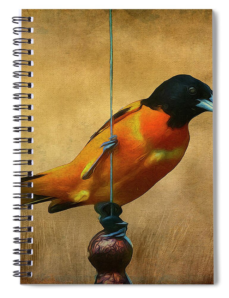 Songbird Spiral Notebook featuring the photograph Orange Bird by Cathy Kovarik