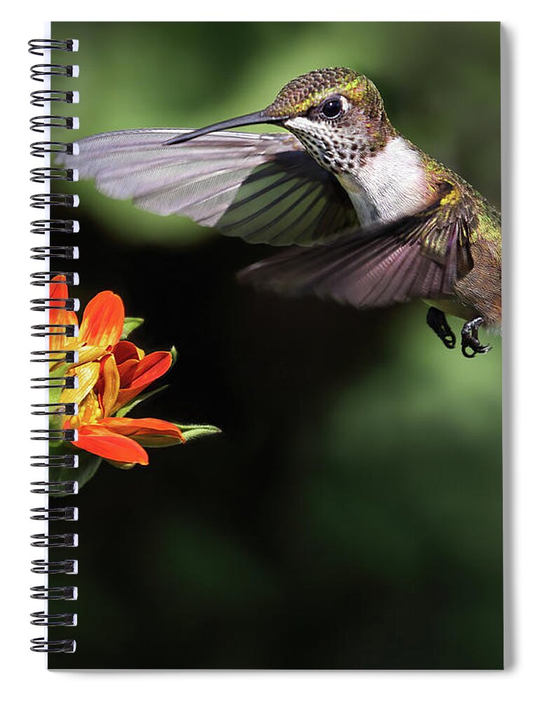 Bird Spiral Notebook featuring the photograph Orange Encounters by Art Cole
