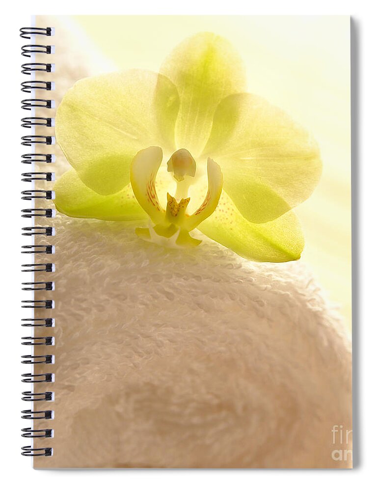 Orchid Spiral Notebook featuring the photograph Orchid on Towel by Olivier Le Queinec