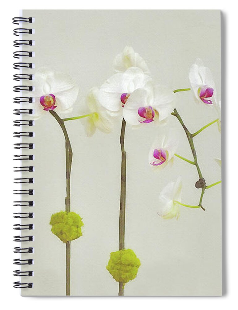 Orchid Spiral Notebook featuring the digital art Orchids in Bloom by Gaby Ethington