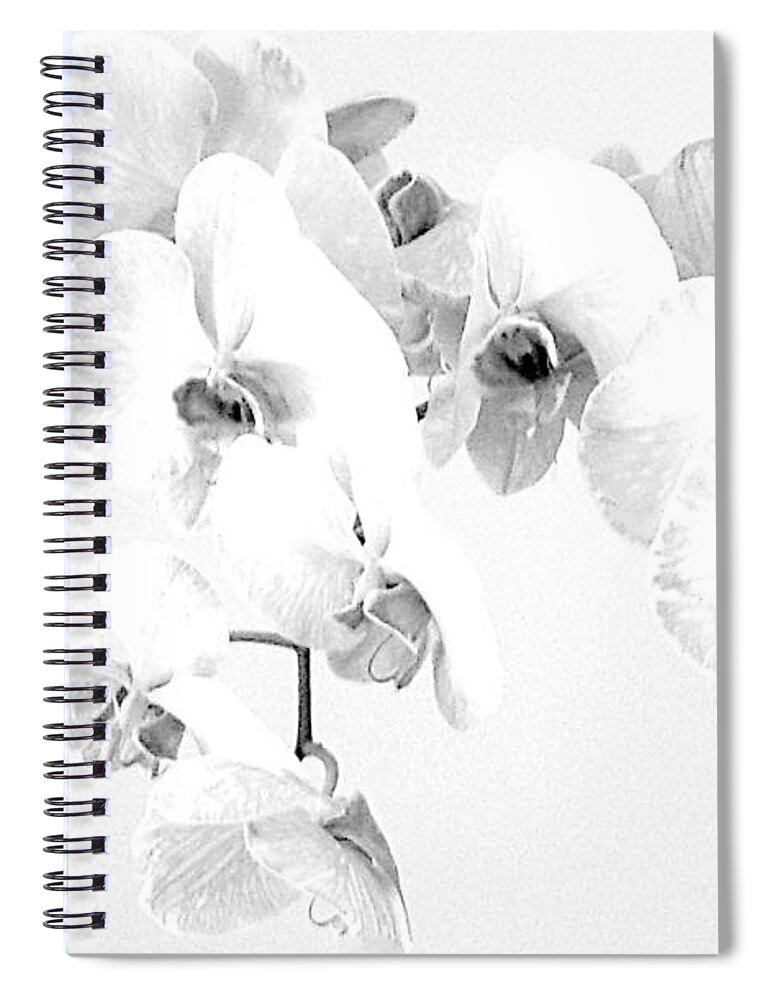 Orchids Spiral Notebook featuring the photograph ORCHIDS MostlyWhite by VIVA Anderson