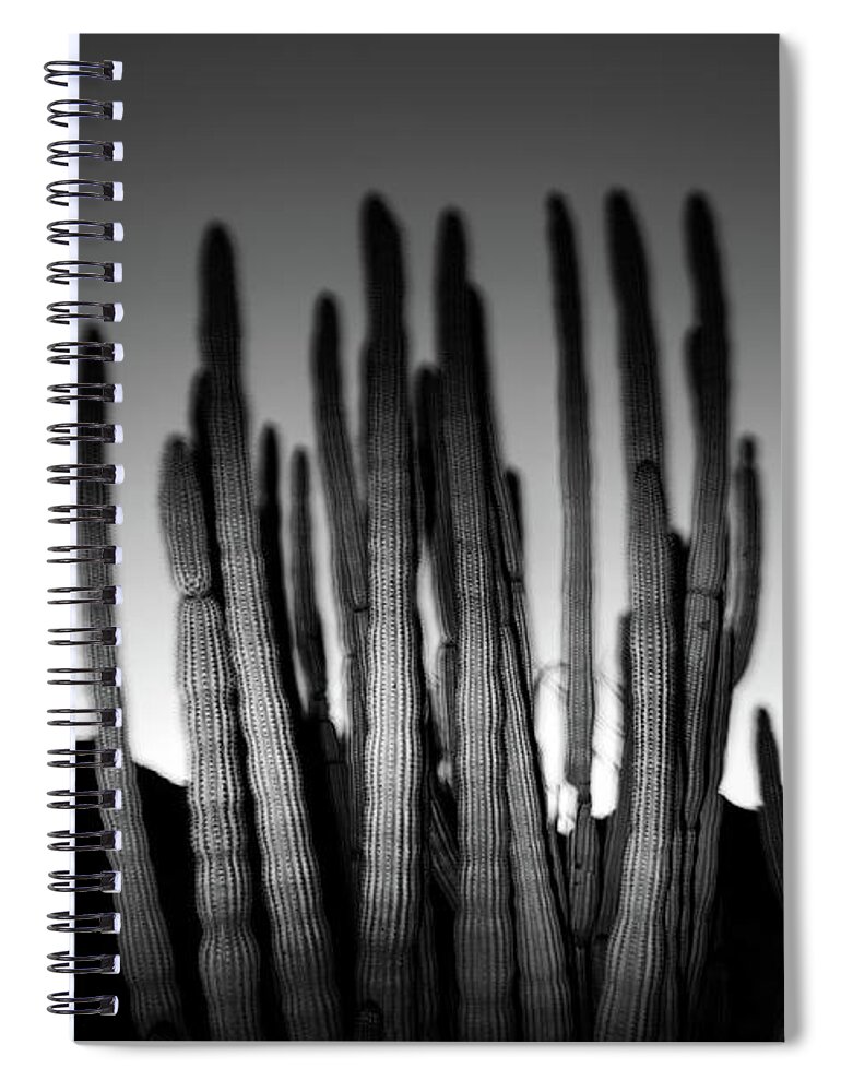 Arizona Spiral Notebook featuring the photograph Organ Pipe and the Mountains of Organ Pipe National Monument BW by Joseph Philipson