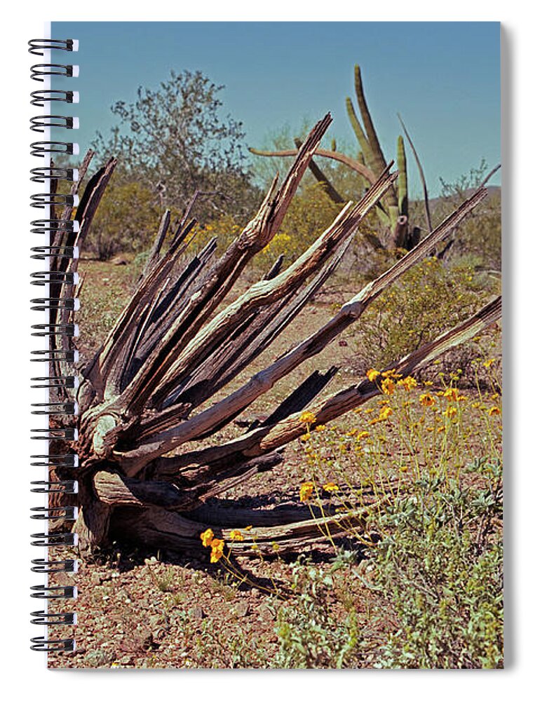 Tom Daniel Spiral Notebook featuring the photograph Organ Pipe Bones by Tom Daniel