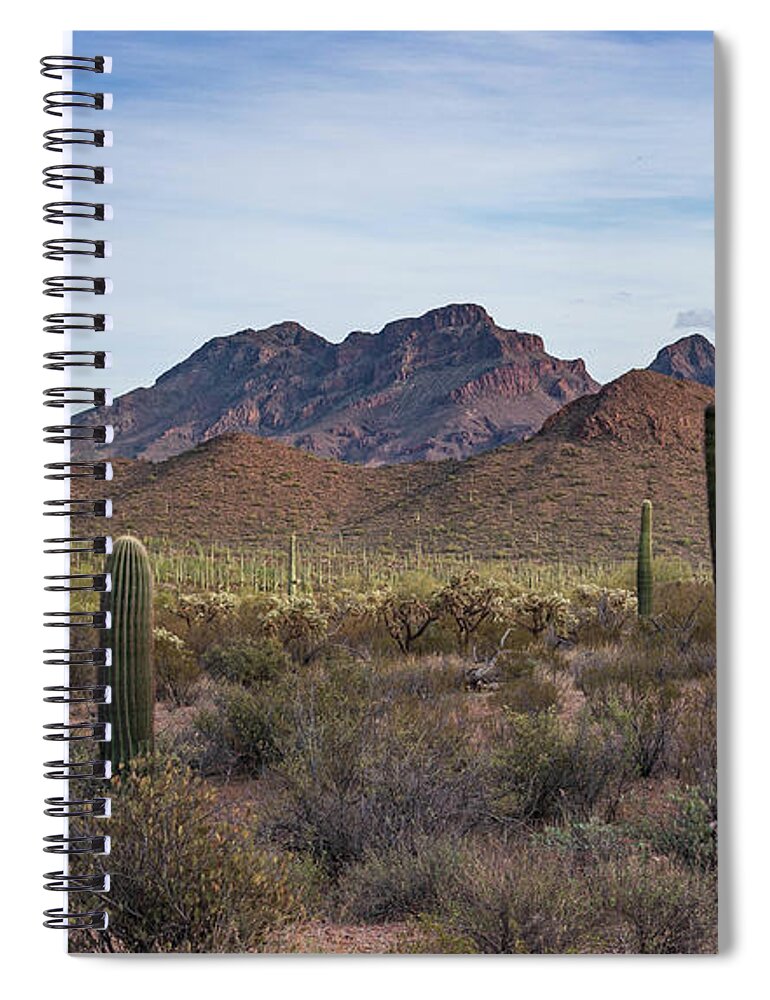 Desert Southwest Spiral Notebook featuring the photograph Organ Pipe Cactus National Monument by Jeff Hubbard