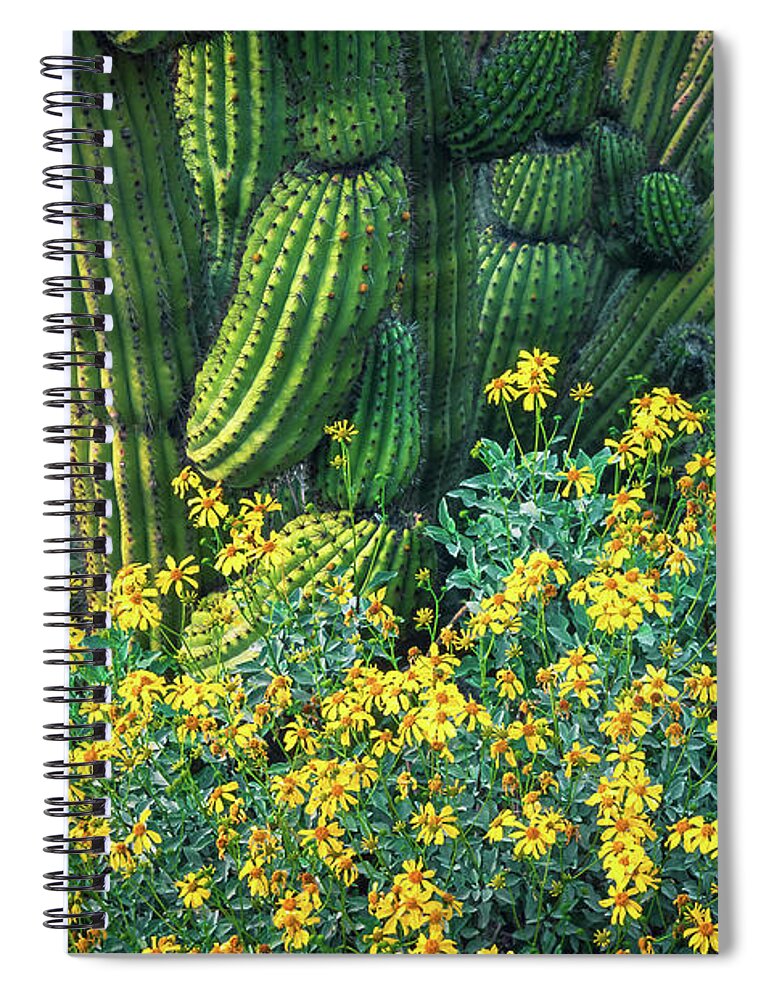 America Spiral Notebook featuring the photograph Organ Pipes by Inge Johnsson