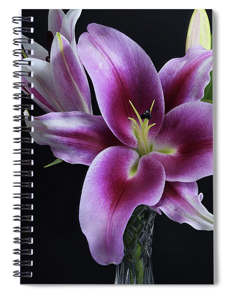 Flower Spiral Notebook featuring the photograph Oriental Trumpet Lily in a crystal vase on black. by Geoff Childs