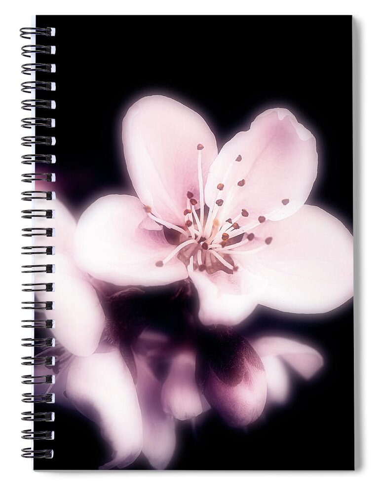 Flowers Spiral Notebook featuring the photograph Orton Spring by Philippe Sainte-Laudy