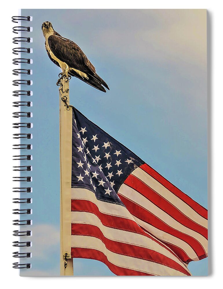 Ospray Bird Feathers Flag Spiral Notebook featuring the photograph Osprey10 by John Linnemeyer
