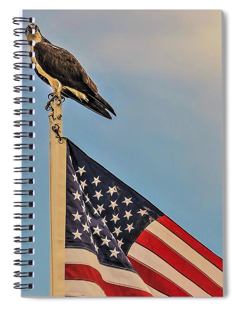 Ospray Bird Feathers Flag Spiral Notebook featuring the photograph Osprey10a by John Linnemeyer