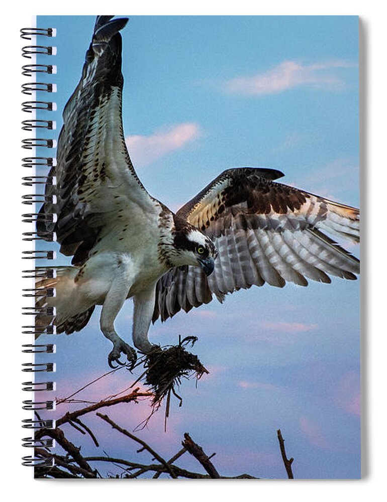 Osprey Spiral Notebook featuring the photograph Osprey by Crystal Wightman