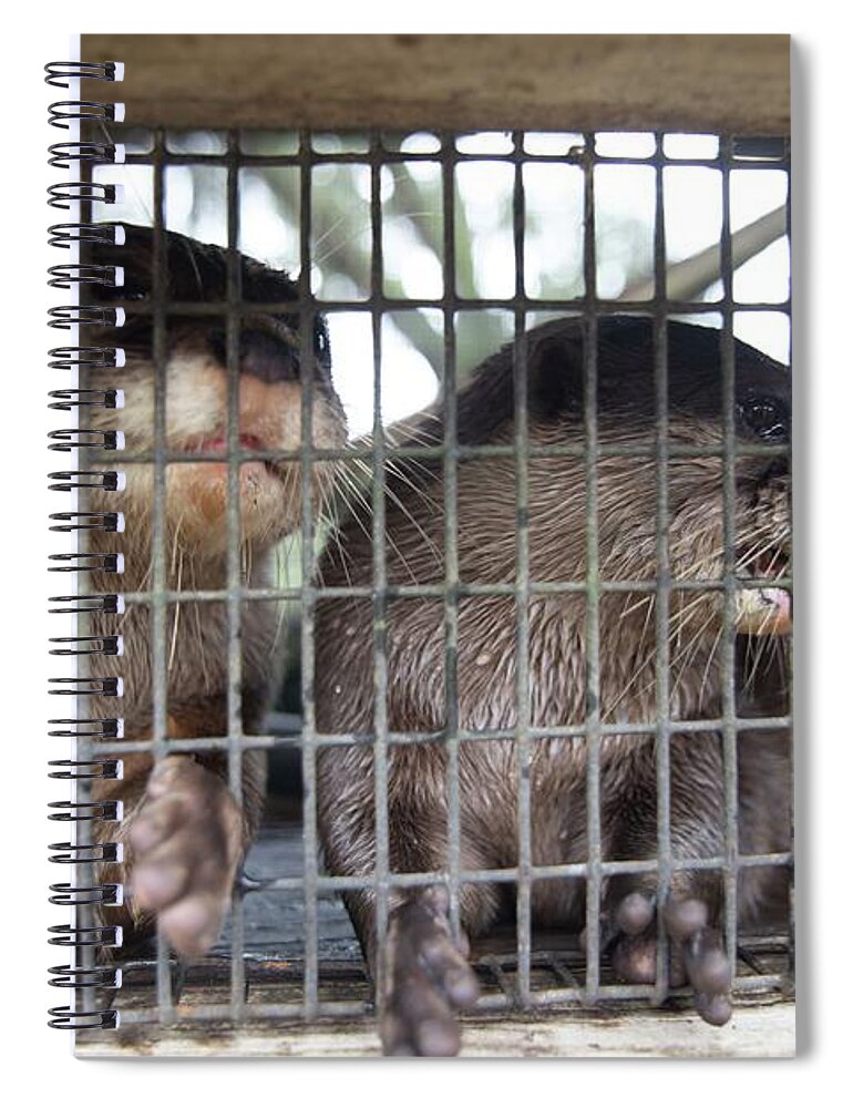 Dade City Spiral Notebook featuring the photograph Otter by Dmdcreative Photography