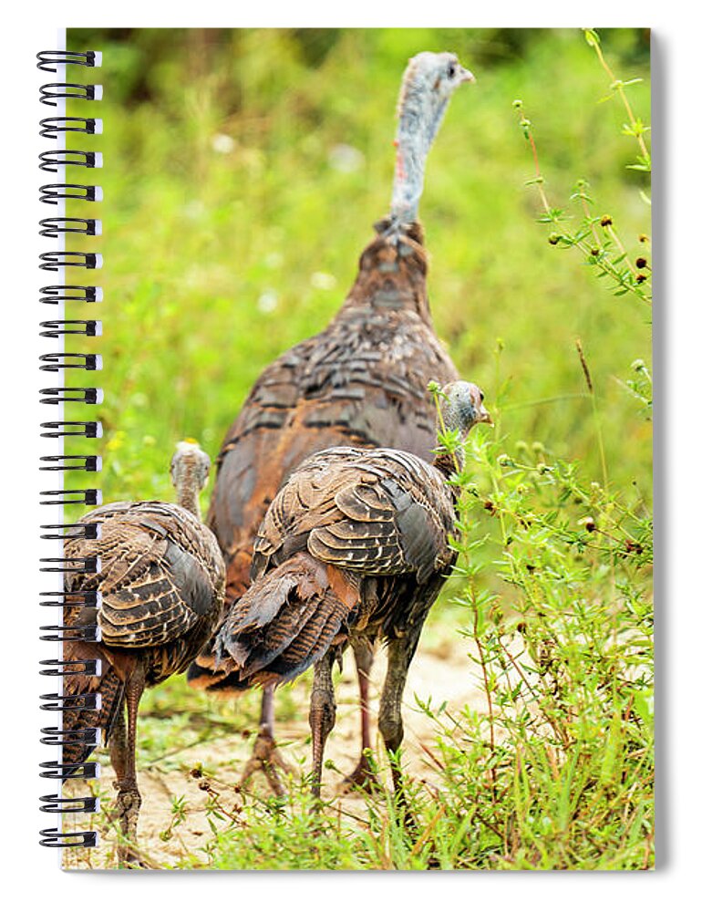Riverbend Park Spiral Notebook featuring the photograph Out for a Stroll by Todd Tucker