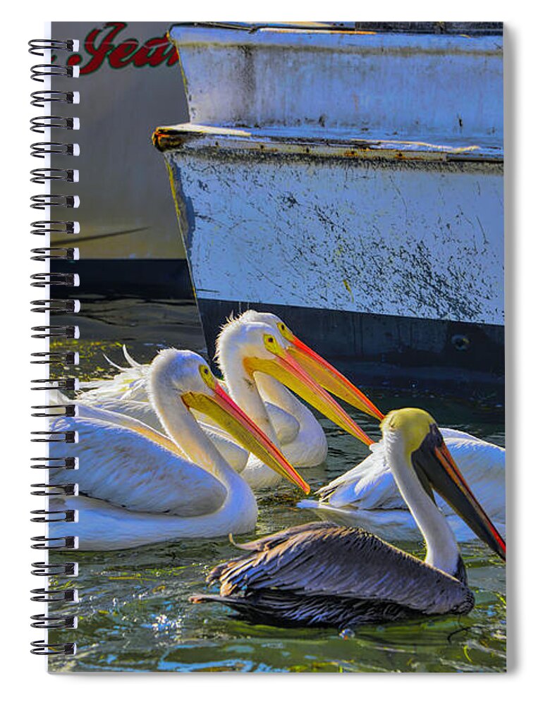White Pelicans Spiral Notebook featuring the photograph Out Shopping by Alison Belsan Horton