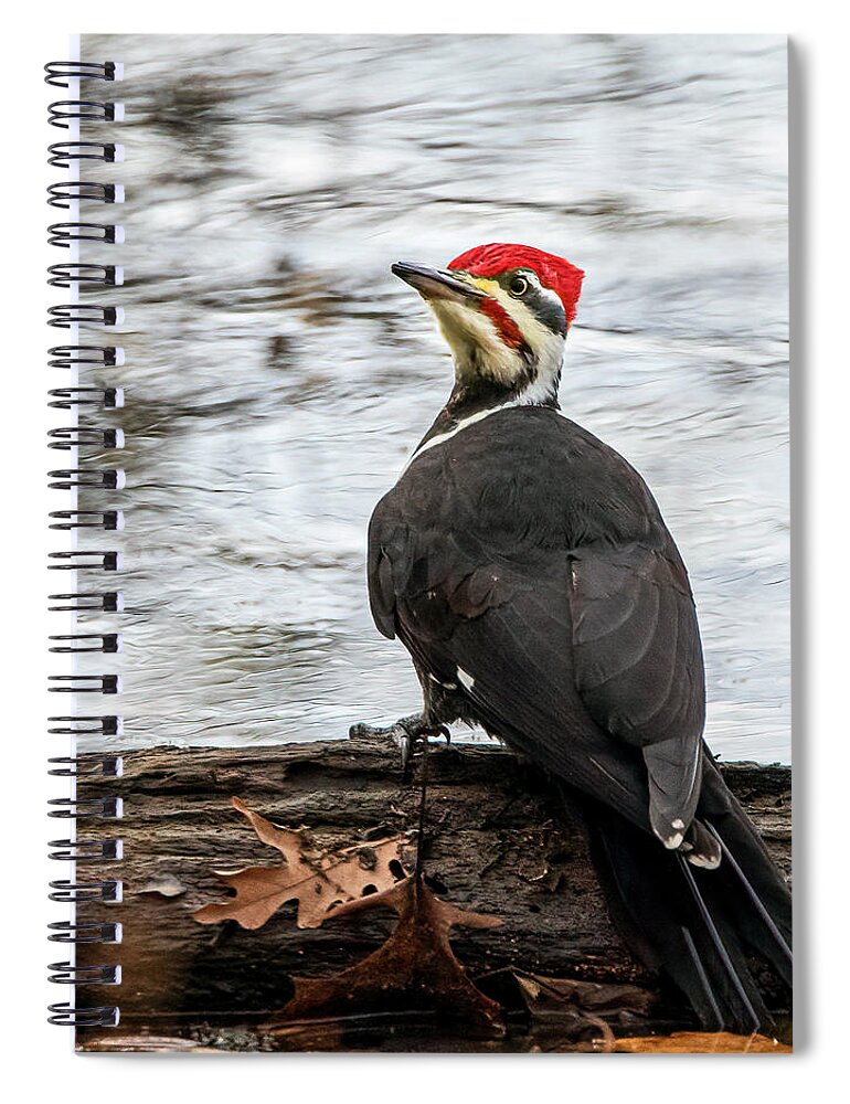 Moraine St Pk Spiral Notebook featuring the photograph Over the Shoulder by Ray Silva