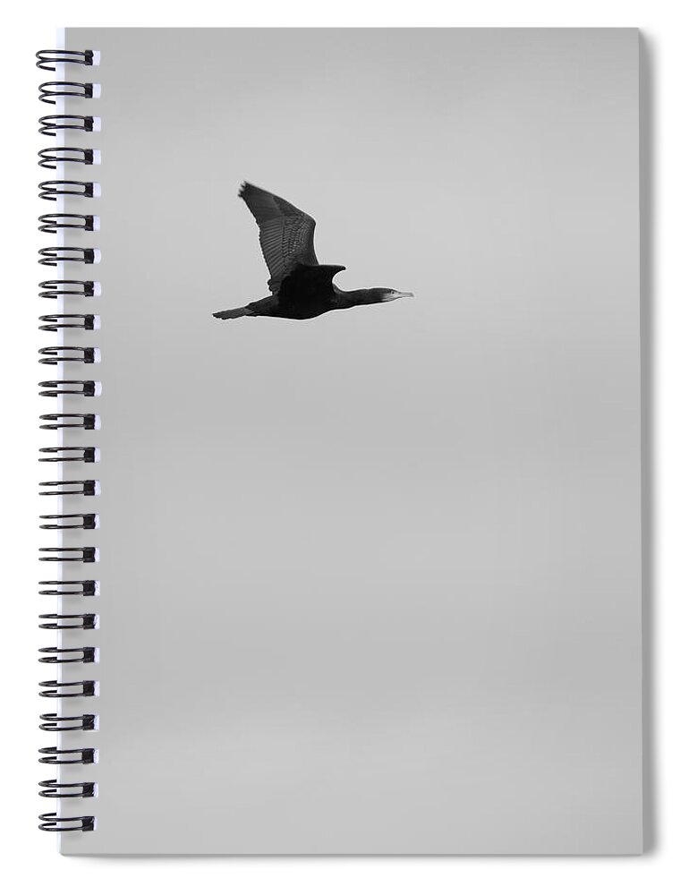 Great-cormorant Spiral Notebook featuring the photograph Overflights 19 by Jaroslav Buna