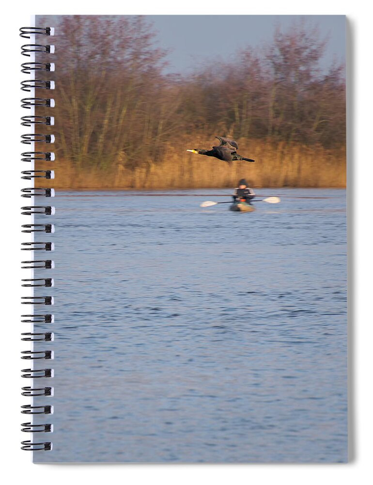 Great-cormorant Spiral Notebook featuring the photograph Overflights 20 by Jaroslav Buna