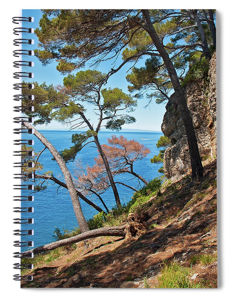 Trees Spiral Notebook featuring the photograph Overlooking the Sea - Portofino, Italy by Denise Strahm