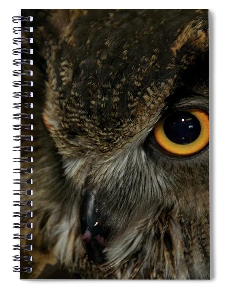 Animal Spiral Notebook featuring the photograph Owl Be Seeing You by Melissa Southern
