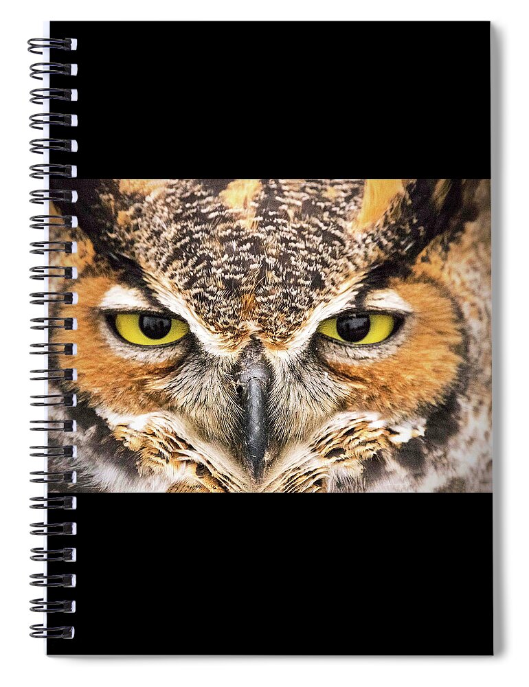Owl Spiral Notebook featuring the photograph Owl Eyes by Ira Marcus