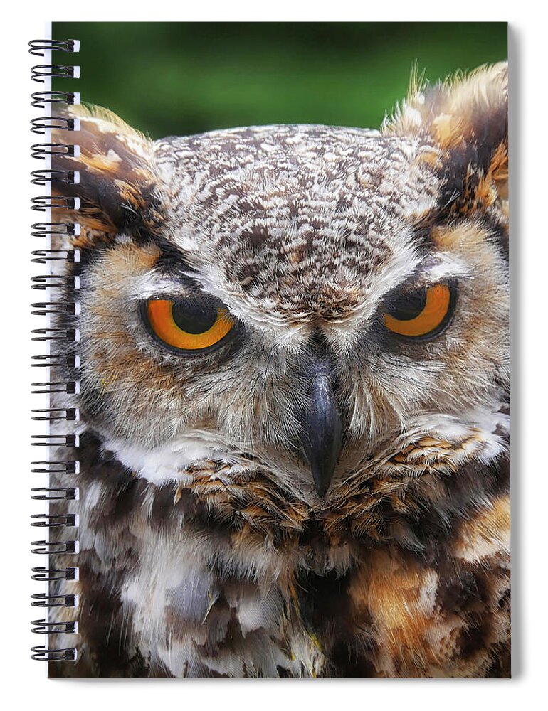 Photograph Spiral Notebook featuring the photograph Owl by Louise Tanguay
