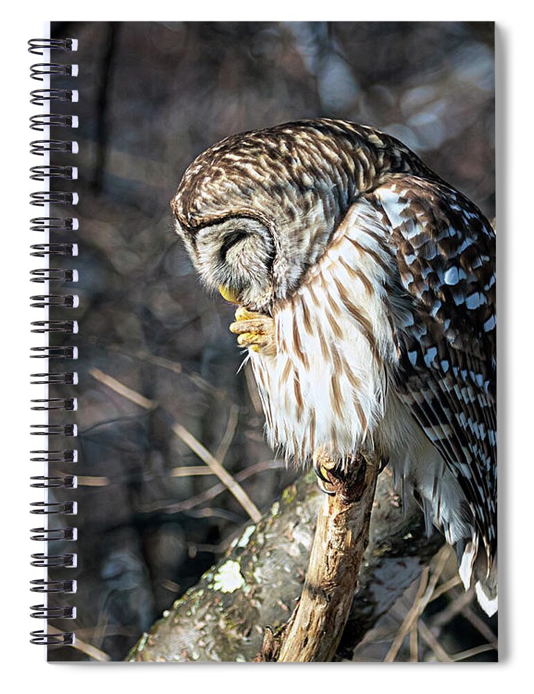 Owl Spiral Notebook featuring the photograph Owl Prayer by Jaki Miller