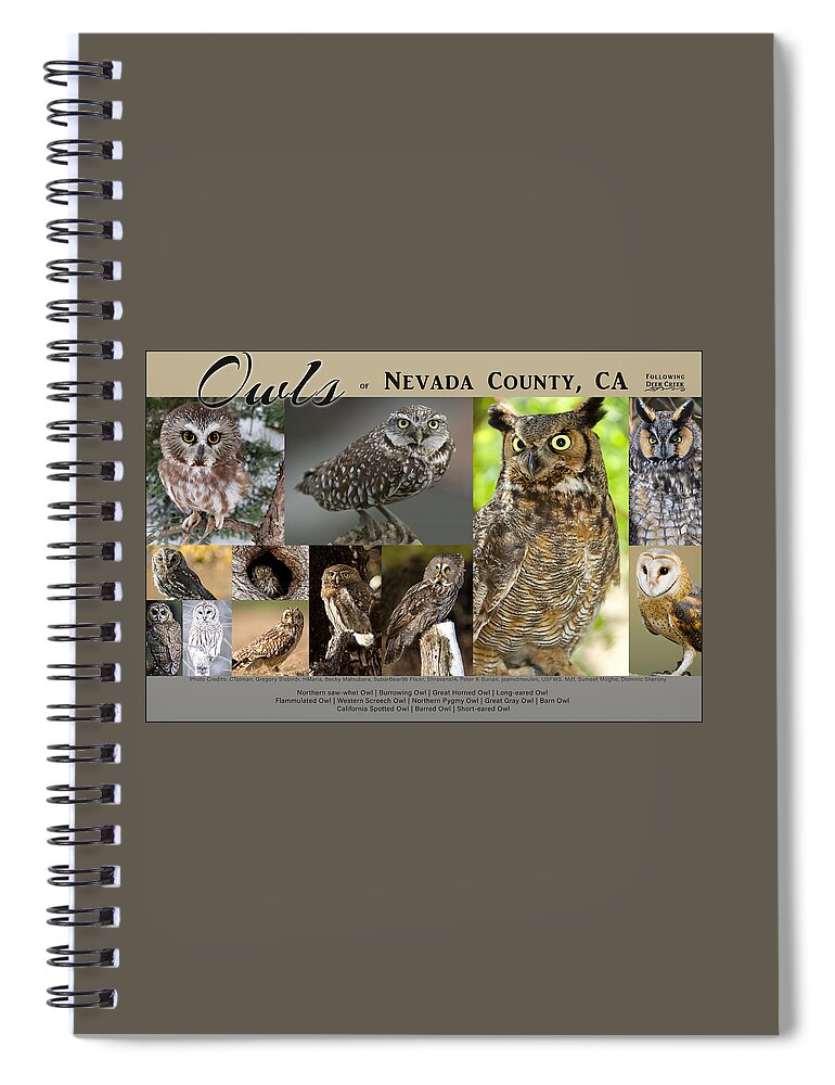 Owl Spiral Notebook featuring the digital art Owls of Nevada County California by Lisa Redfern