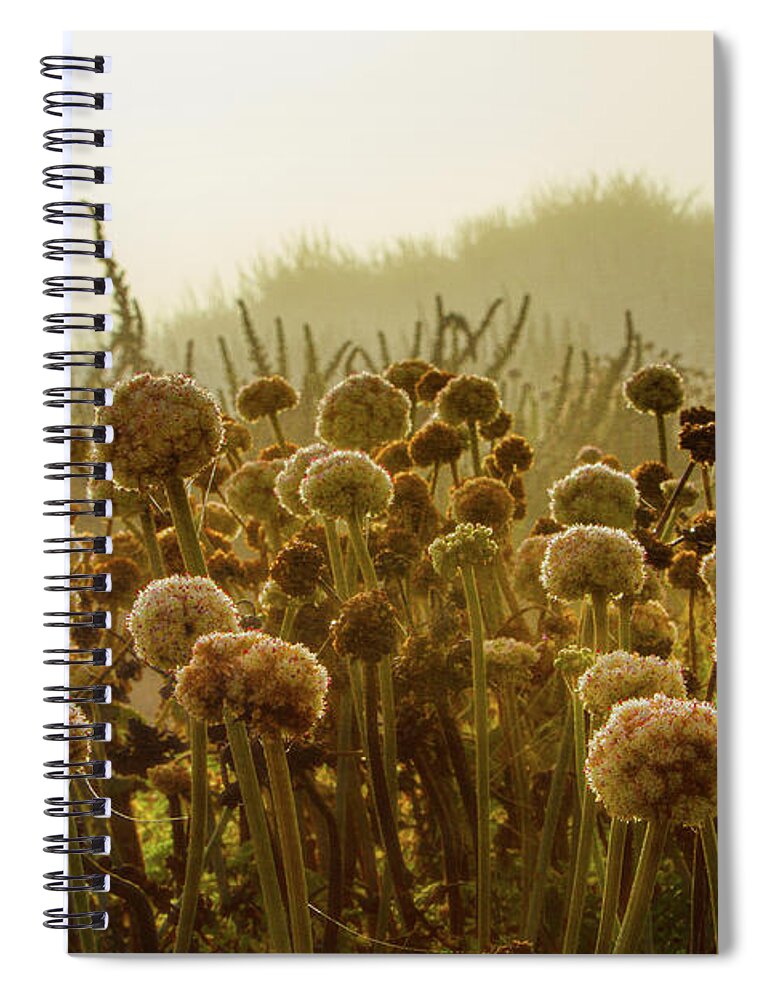 Pacific Spiral Notebook featuring the photograph Pacific Coast Autumn Morning by Marilyn Cornwell