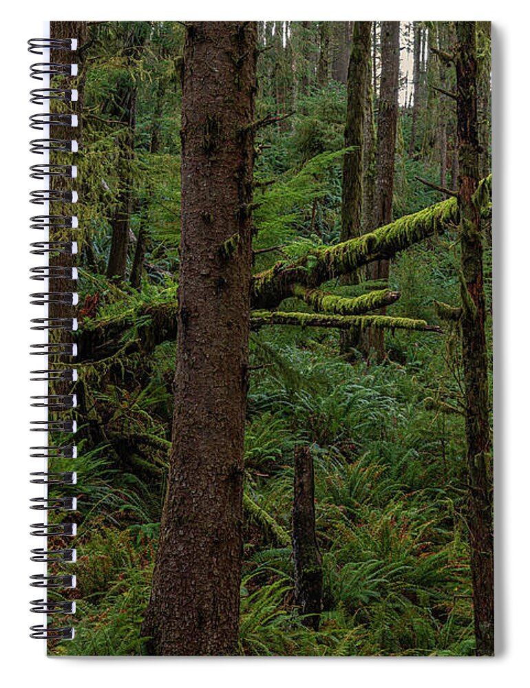 Cannon Beach Spiral Notebook featuring the photograph Pacific coast forest. by Ulrich Burkhalter