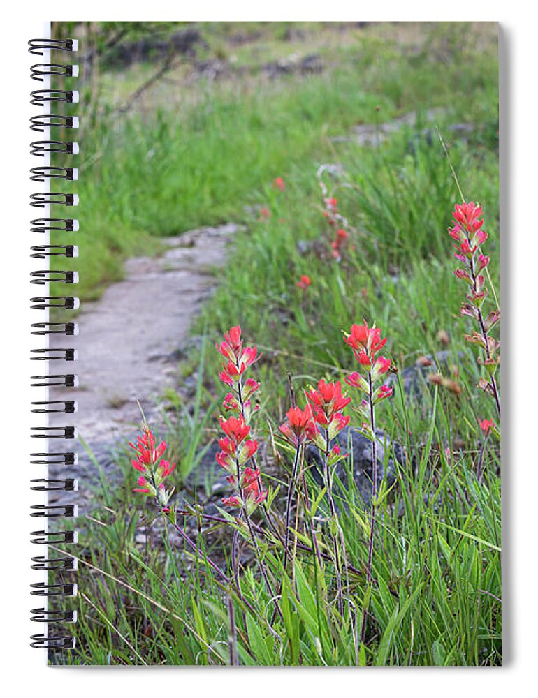 Paint Spiral Notebook featuring the photograph Paint Brush Trail by Dennis Hedberg