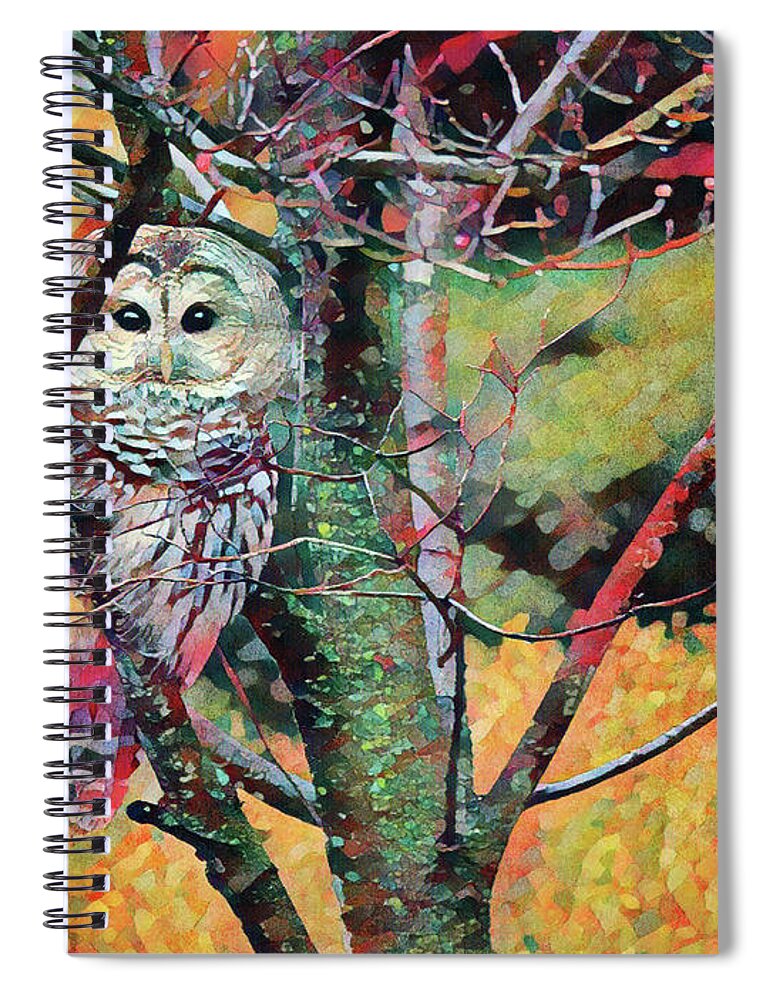 Owls Spiral Notebook featuring the photograph Painted Owl by Trina Ansel