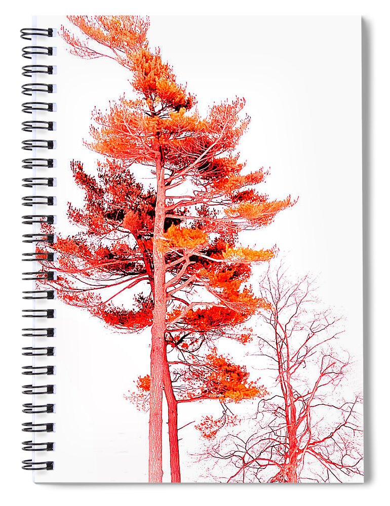 Pine Spiral Notebook featuring the digital art Painted Pine 2 by JP McKim
