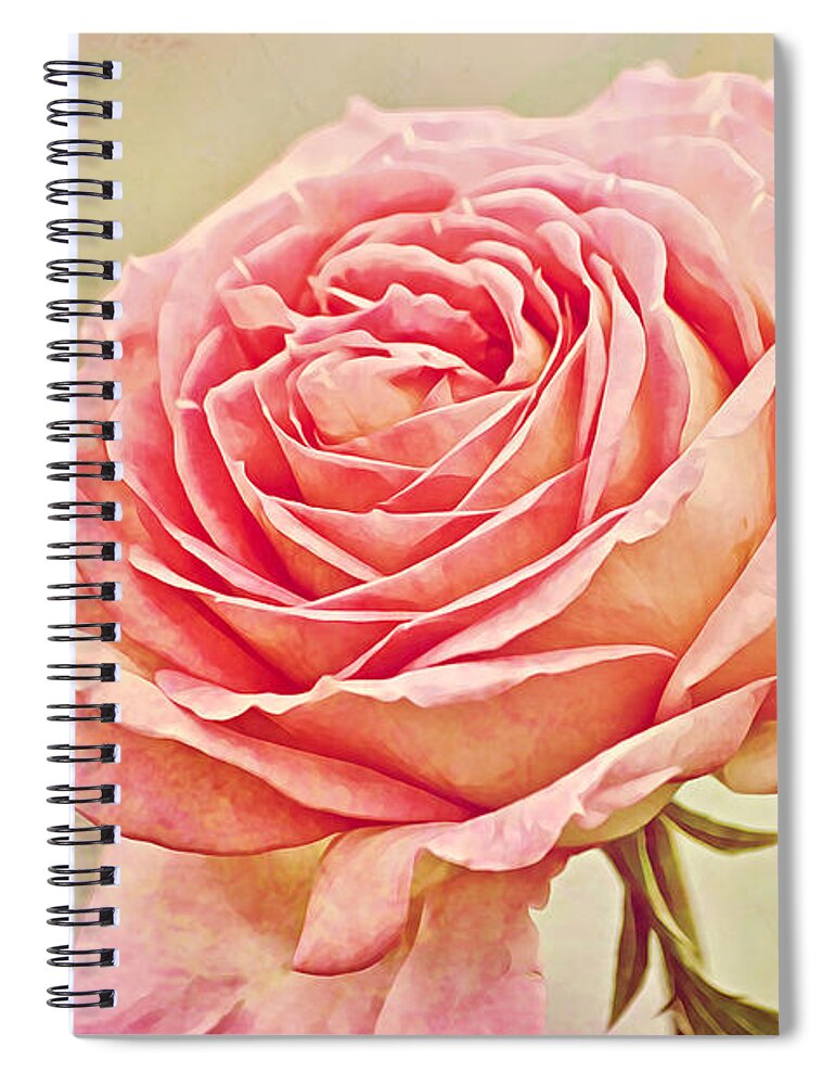 Rose Spiral Notebook featuring the photograph Painted Pink Antique Rose by Gaby Ethington