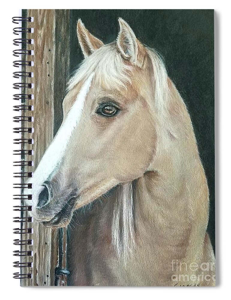Horse Spiral Notebook featuring the drawing Palomino Filly by Pamela Sanders