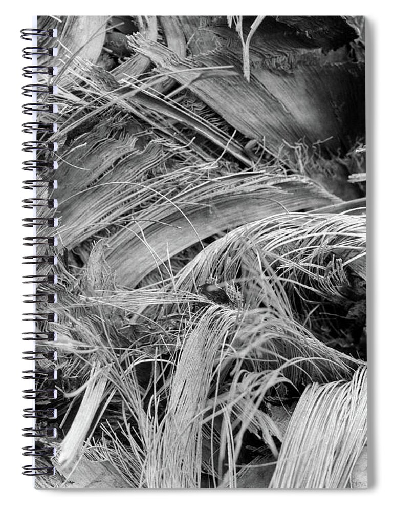 Closeup Spiral Notebook featuring the photograph Palm #1 by John Simmons