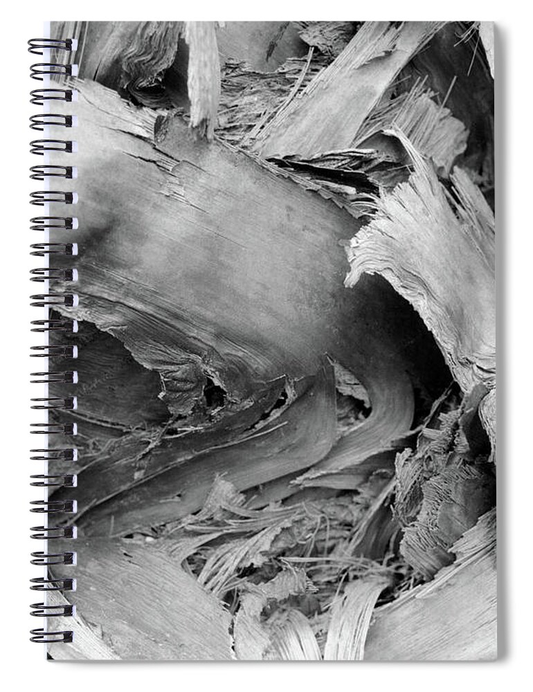 Closeup Spiral Notebook featuring the photograph Palm #2 by John Simmons