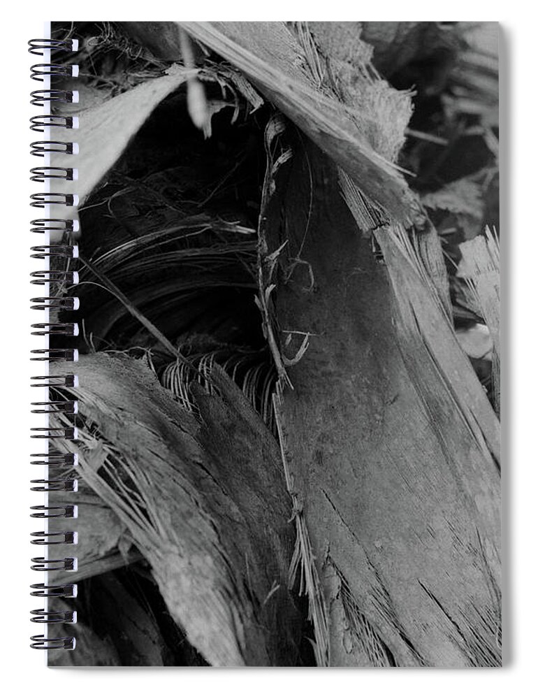 Closeup Spiral Notebook featuring the photograph Palm #4 by John Simmons