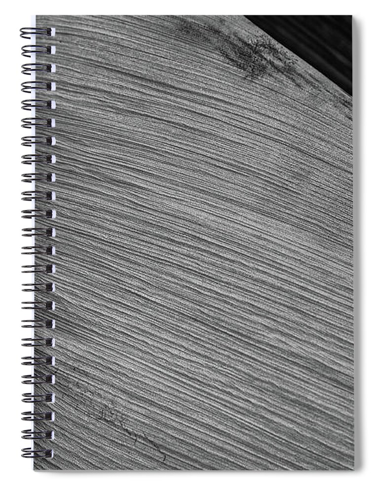 Palm Leaf Spiral Notebook featuring the photograph Palm Leaf - pattern by Alan Goldberg