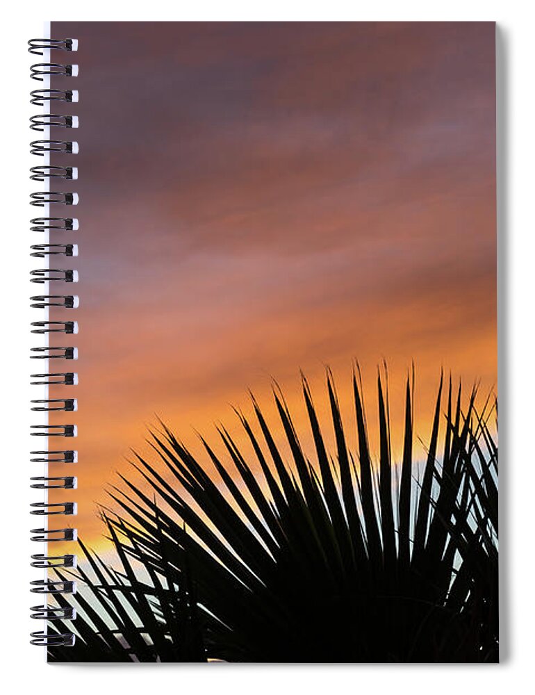 Palm Leaves Spiral Notebook featuring the photograph Palm leaves and soft clouds at sunset by Adriana Mueller