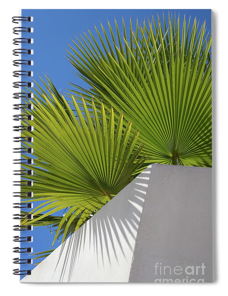 Palm Leaf Spiral Notebook featuring the photograph Green palm leaves, blue sky and white wall of a modern finca 1 by Adriana Mueller
