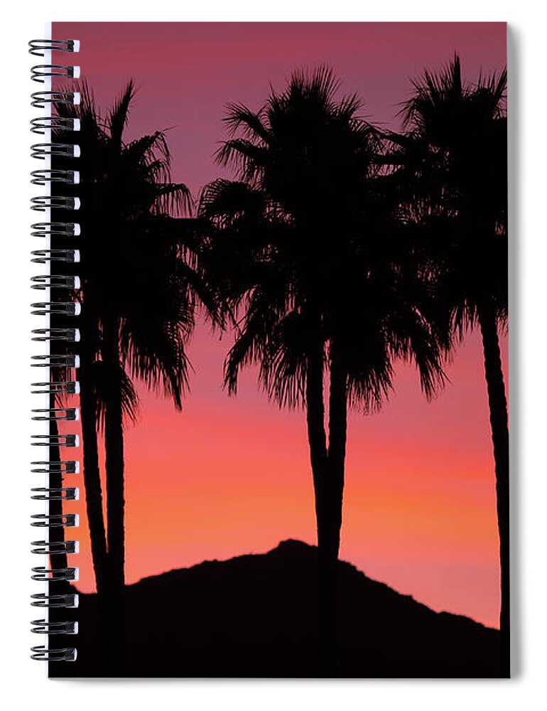 Coachella Valley Spiral Notebook featuring the photograph Amigos - Palm Tree Silhouettes - Sunset - Palm Desert - Coachella - CA. by Bonnie Colgan